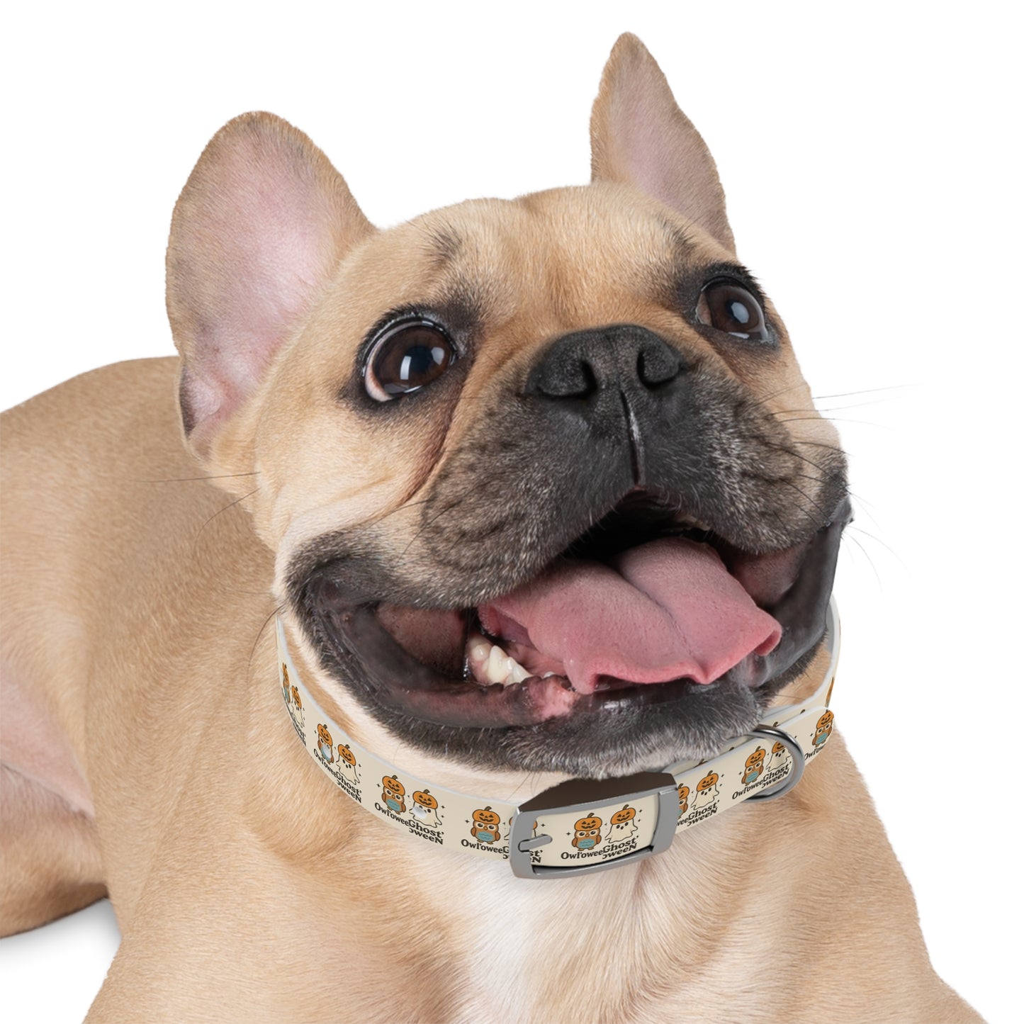 Dog Collar Descriptions