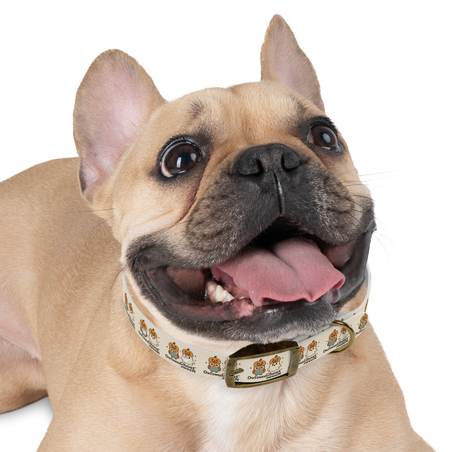 Dog Collar Descriptions