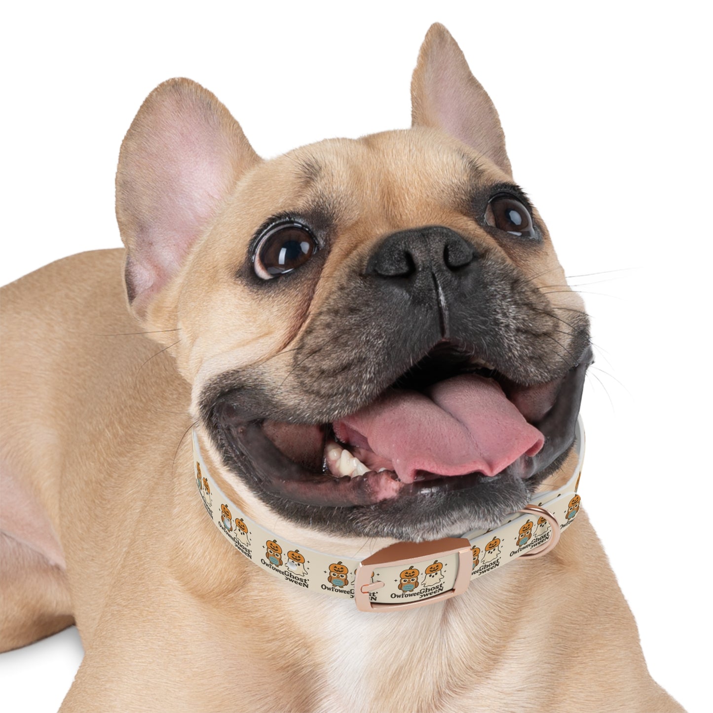 Dog Collar Descriptions