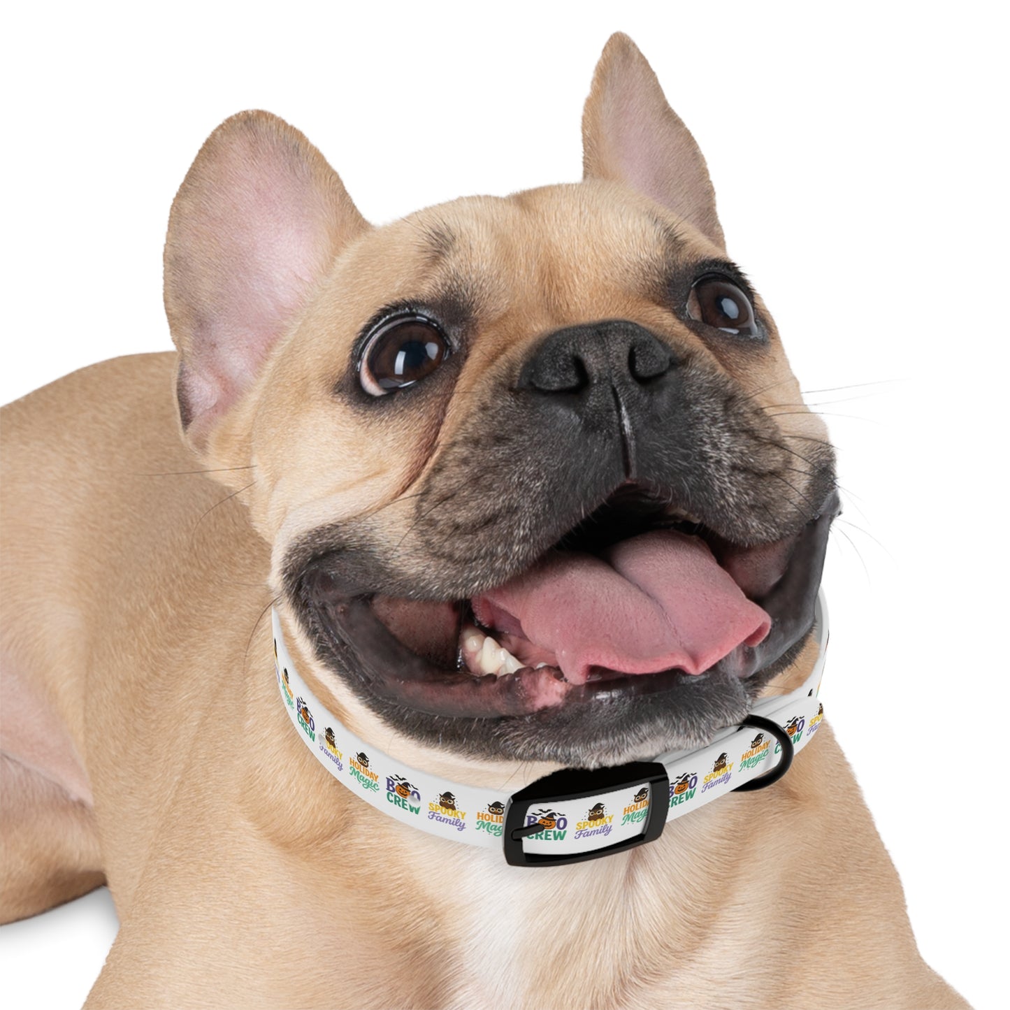 Descriptions Dog Collar