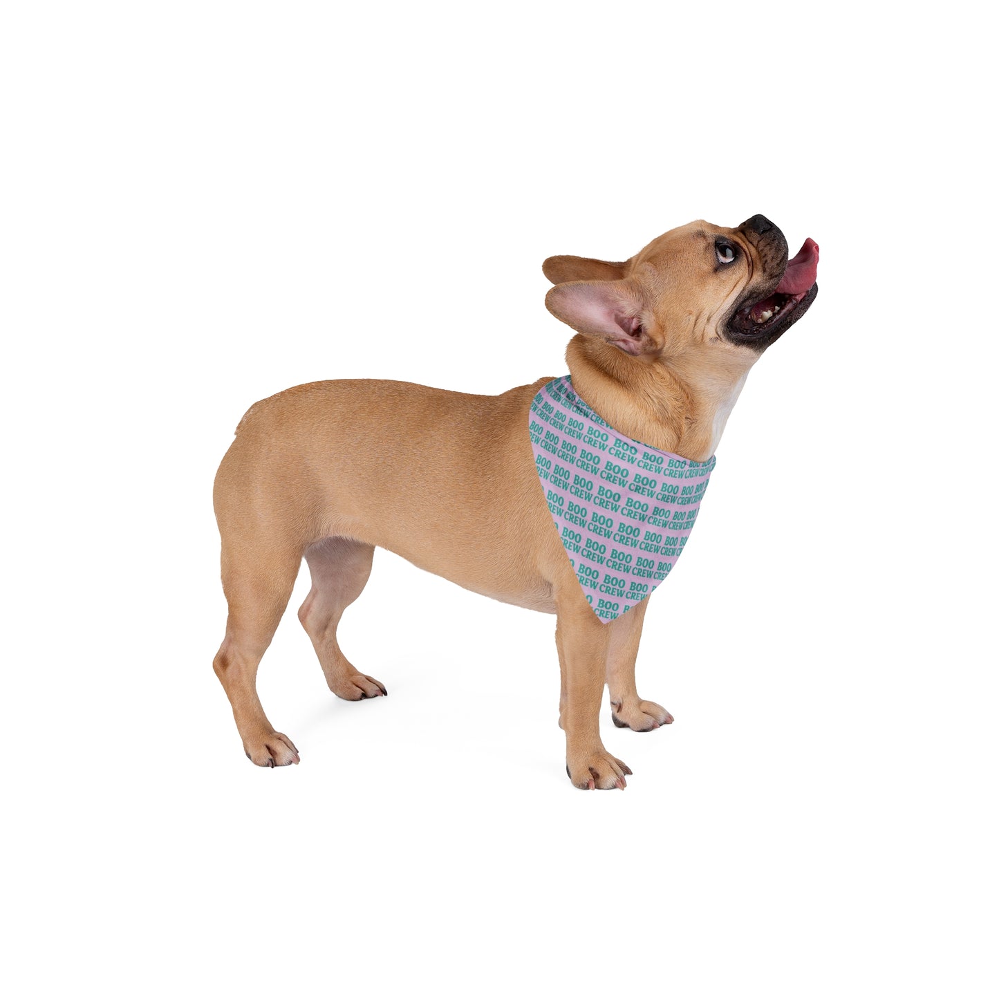 Festive Pet Bandana for Halloween Fun, Dog Accessory, Pet Costume, Boo Themed Scarf, Pet Gift, Holiday Apparel