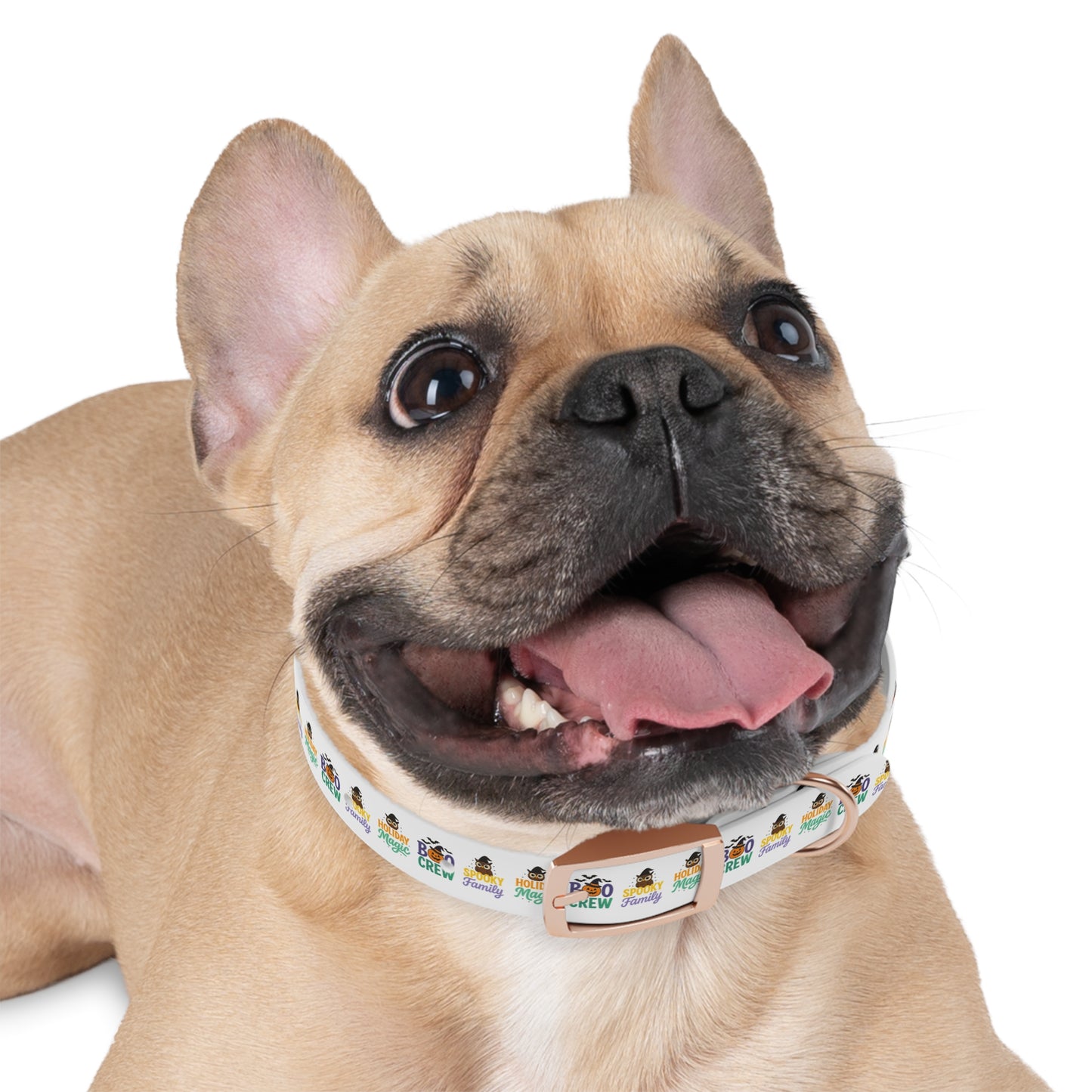 Descriptions Dog Collar