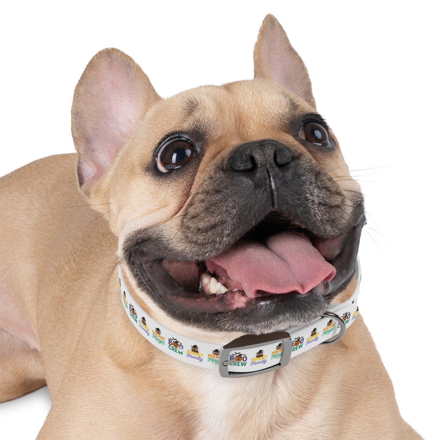 Descriptions Dog Collar