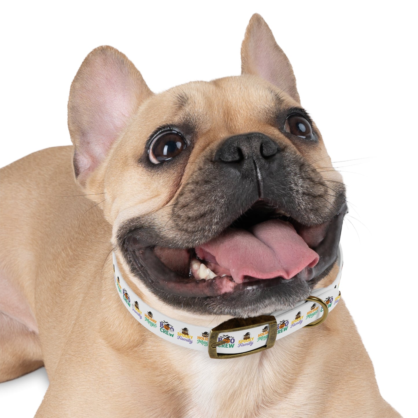Descriptions Dog Collar